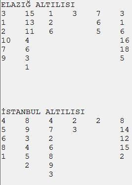 Es-Es Runnerin Hakeemle imtihanı