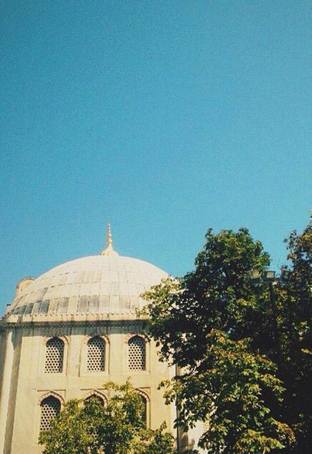 Terk edilen genç kadının bakın ne yaptı