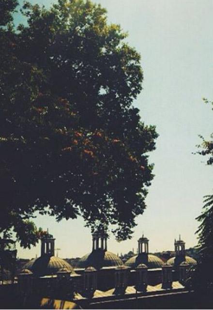 Terk edilen genç kadının bakın ne yaptı