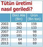 Tütünde son durumumuz ne