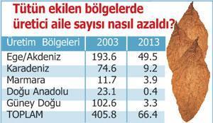 Tütünde son durumumuz ne