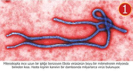 Ölüm makinesi Ebola durmuyor