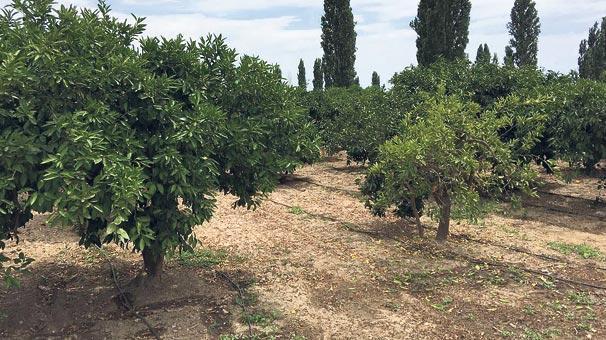 ‘Günaydın Atalay’ son sözü olmuş