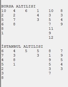 Bursada Ninoşun Oğlu