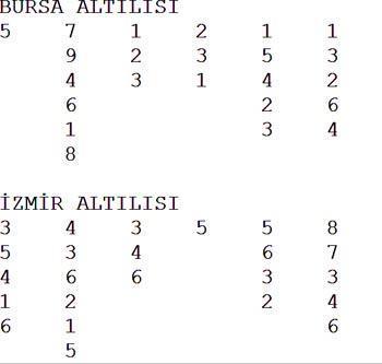 Bursada Cesur Hisar