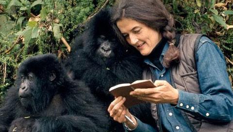 Dian Fossey hakkındaki şok gerçek