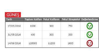 İstanbul plajları kafa karıştırıyor