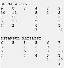 Bir kez daha Raziye Ana
