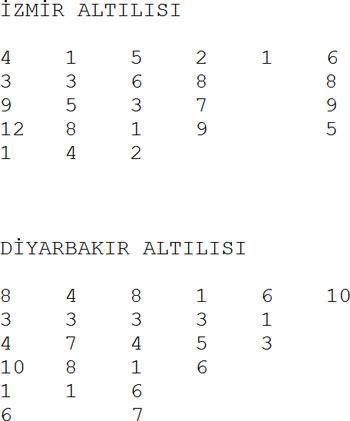 Ankaralı bu kez kumda