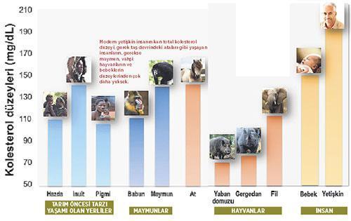 Kolesterolle nasıl savaşırız