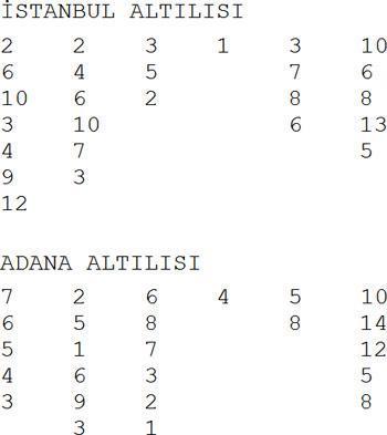 İstanbulda BMW Adanada Petina