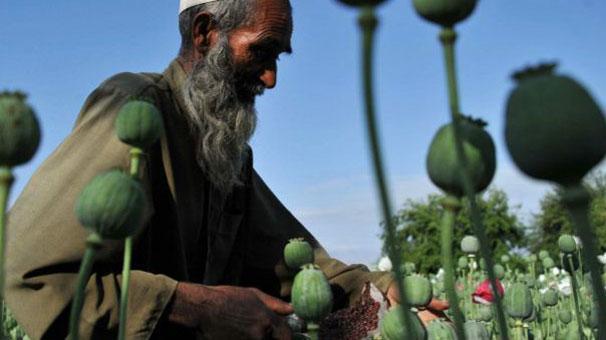 Değirmenin suyu nereden geliyor