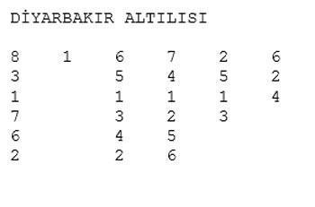 Çılgın Selim