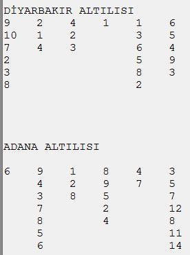 Houdini formda