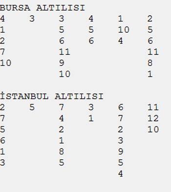 İlk koşusunda Night Falcoon