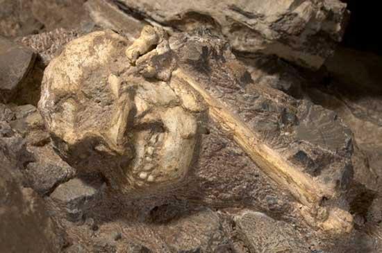3.6 milyon yıllık dünyanın en eksiksiz iskeleti keşfedildi