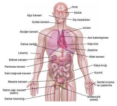 Sigara ömrümüzden 10 senemizi çalıyor