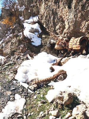 Herkes biliyor ama adı ‘kaçak’