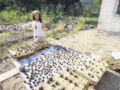 Yağmur suyundan içme suyu,  yemek artıklarından gübre...