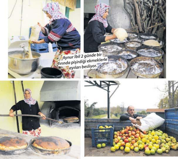 “Ayılara ekmek pişireceğim  aklıma gelmezdi”