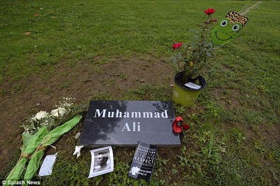 Muhammed Alinin mezarı ilk kez görüntülendi