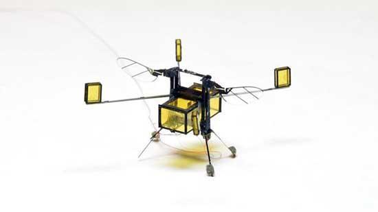 Suya dalıp çıkabilen robot arı üretildi