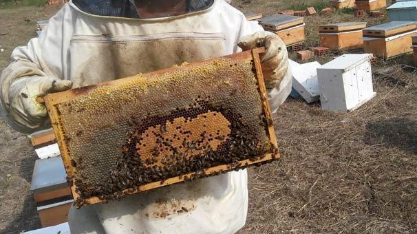 Avrupadan Türkiyeye geldi Ölümler yüzde 40a çıktı