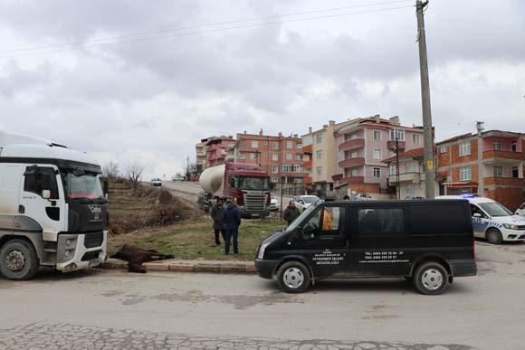 Bu görüntü Edirneden Hemen uyuttular, çünkü...