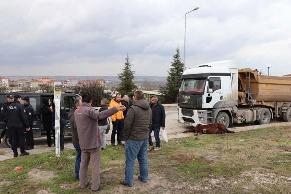 Bu görüntü Edirneden Hemen uyuttular, çünkü...