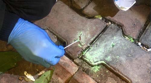 Polis  9 yaşındaki çocuğu bu işe alet ediyorsun  diye isyan etti