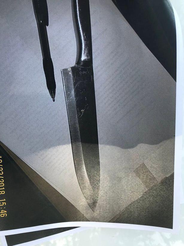 Arkadaşlarının kanını içeceklerdi… Satanist çocuklar kan dondurdu