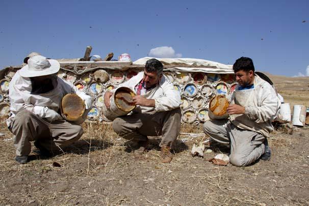 Arap ülkelerinin gözdesi: Karakovan balı