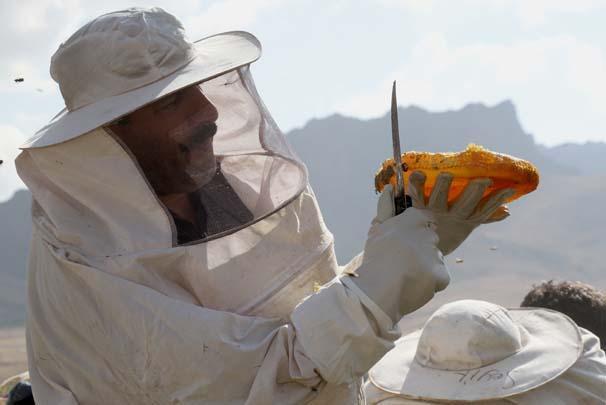 Arap ülkelerinin gözdesi: Karakovan balı