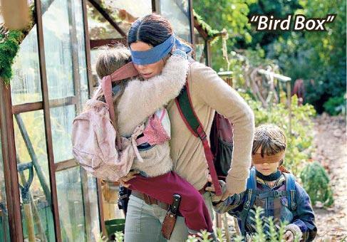 “BIRD BOXING”