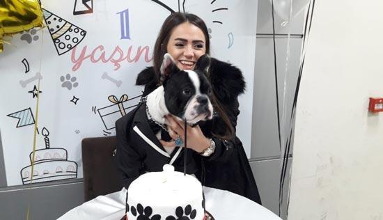 Köpeği için doğum günü partisi düzenledi