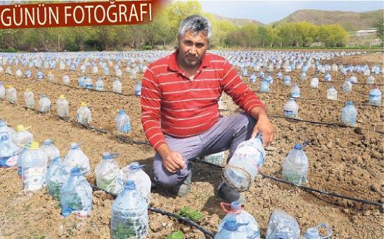 Barınaklara gelin bir arkadaş edinin