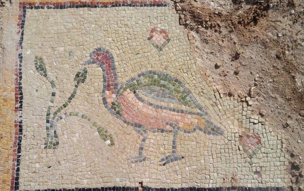 Tarla sürülürken bulunan mozaikler korumaya alındı