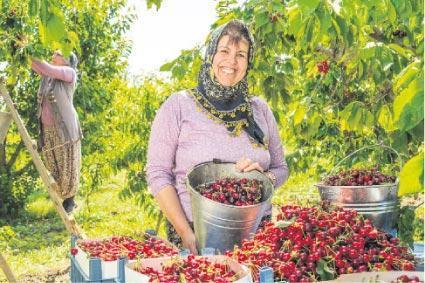 Kırsala destek milyarları aştı