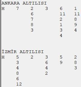 İzmirde Evdegül