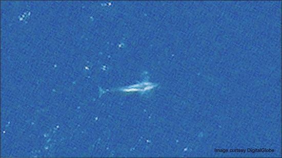 Bilim insanları balinaların uzaydan dahi görülebildiğini tespit etti