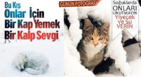 DSİ 2. Bölge, 50 bin dekar bağı kurtarıyor