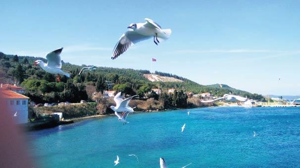 Çanakkale’de hedef turizm zaferi