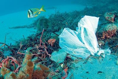 Poşete, plastiğe veda seçenekleri