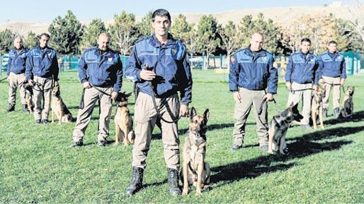 Dedektör köpekler için yasa çıkarılsın