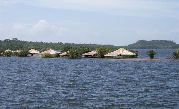 Alter do Chao, Brezilya