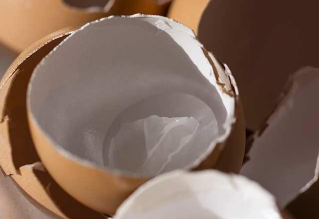 Yumurta kabuğu gübresi