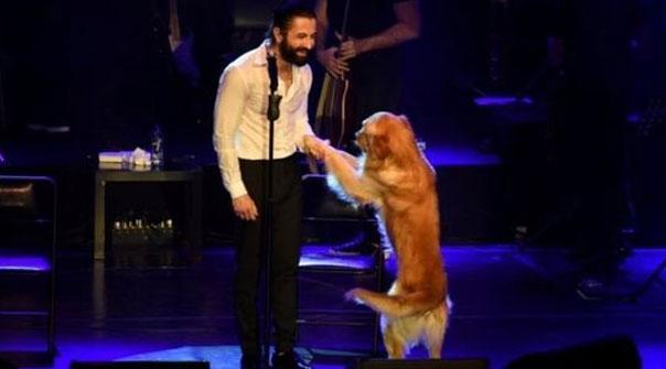 Geçtiğimiz günlerde konsere köpeği ile katılarak hafızalardan silinmeyecek bir konsere imza atan şarkıcı kimdir