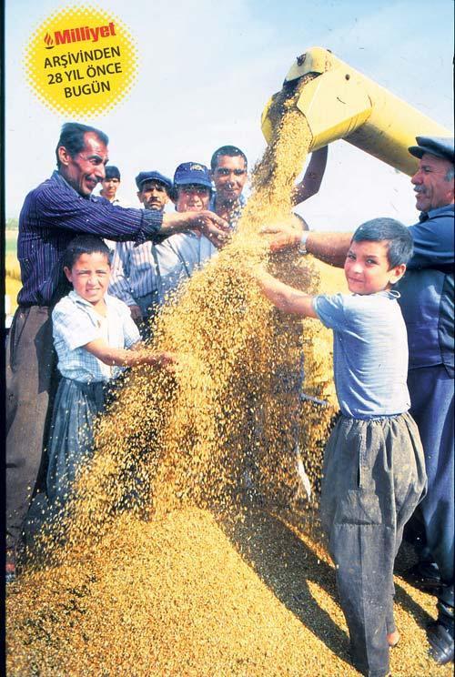 Şimdiki zamanın hikayesi