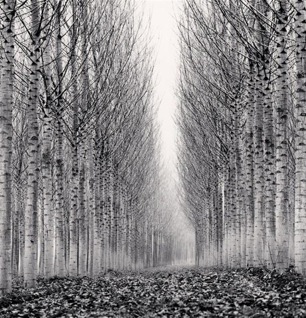 MICHAEL KENNA – MAGNUM SILENTIUM