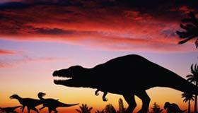 Kuşların atası dinozorlar..